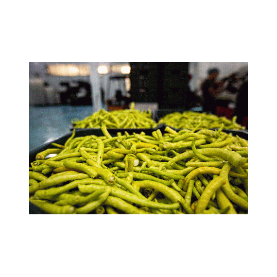 Pepperoni Lombardi Pepper by Gouda, 2 image